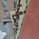 효정 봉사단 효도잔치 이미지