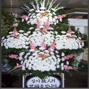 새한 건축사사무소 이미지