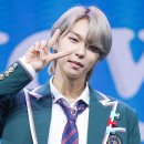 브이 나인 이미지