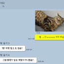 세븐스프링스판교 | [삼양그룹 서포터즈] 삼양씨즈 2기 발대식 후기