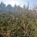 죽림부영2차아파트 이미지