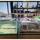 카페리움 이미지