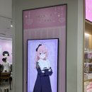 마린딜라이트 | 그 비스크돌은 사랑을 한다 ☆ 헌터 헌터 • 콜라보 카페 후기 + 카시오 엑슬림 작례