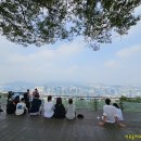 남산공원 이미지