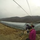 신도정보화마을 이미지