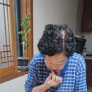 호저면 행정복지센터 이미지