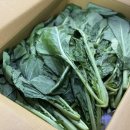 서진농장 이미지