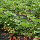 해뜰하우스 이미지