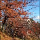 김해용달