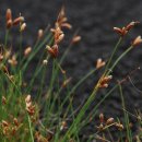 제주하늘지기 이미지