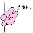 슈가허니 이미지