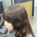 세나헤어살롱
