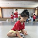 🌿🐞무당벌레 VS 개미! 진딧물을 찾아라!🤗 이미지