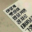 참다랑어막주는집청주 이미지