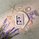 마포구청 | [합정] 블랑무드 합정 사진관 망원 사진관 마포구청 사진관 솔직후기