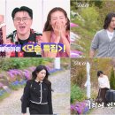 33 스포츠서울