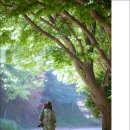 성지목장 이미지