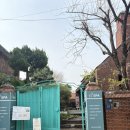 오애립뷰티&요가샵 | YJ스파 강남점 강남 마사지샵 스웨디시 후기