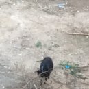 파리바게뜨 양산범어점 이미지