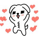 미스터 멍 애견샵 이미지