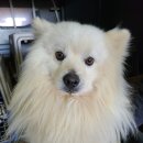 안청로6길 이미지