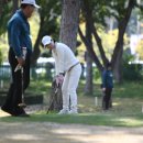 종합운동장(골프장) 이미지