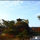 조옹대식당 이미지