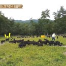 덕운가든