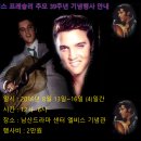 세븐일레븐 남산2호점 Daum카페
