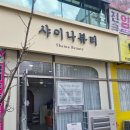네일 샤이나