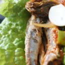 남해카써비스