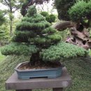 한림공원 이미지