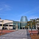 뽑아가즈아 이미지