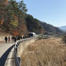 비천농장 이미지