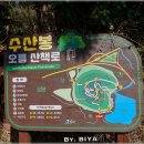 제주 애월 오름 추천 수산봉 물메오름 인생샷 그네 포토존 가는길 주차 정보 총정리