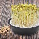 달라짐 조원점 | 내일배움캠프 본캠프 22일차