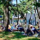 연곡해변 솔향기캠핑장 이미지