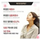 참결혼정보 이미지
