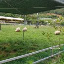 한우드림 이미지