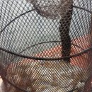 (유)바다해