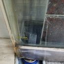 곰달래로 이미지