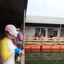 스타바다좌대낚시터 이미지