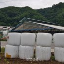 증4리 이미지
