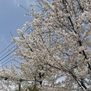 카페녹다 | [녹두거리 고시촌] 관악산 디저트 : 카페 녹다 (바나나크림 떠먹케, 레몬바스크 치즈케이크 후기)