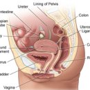 변상희산부인과의원 이미지