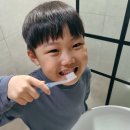 썬덴탈코리아 이미지