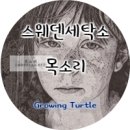 거북이세탁소 이미지