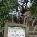 문화마을길-3 이미지