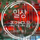 알리조 떡볶이 광주계림점 | 조각 모음] 9월 1-3주 &#34;모아둔 일상 조각 풀기&#34; (임영웅 콘서트 영화 / 피크닉 / 중국출장 / 광주여행)