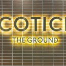 코티스 앰버서더 이미지